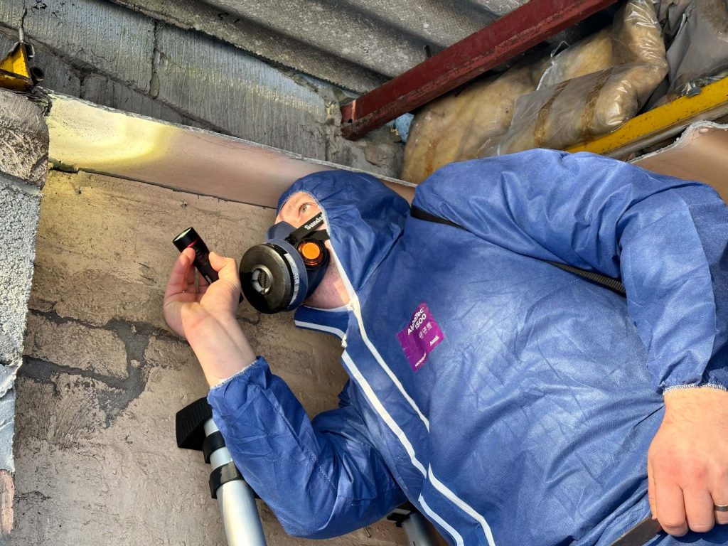 Edinburgh-asbestos-survey-specialist-checking-a-ceiling